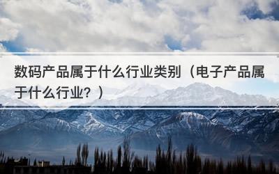数码产品属于什么行业类别（电子产品属于什么行业？）