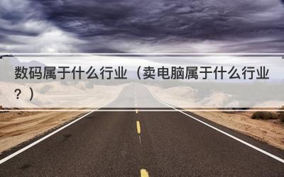 数码属于什么行业（卖电脑属于什么行业？）