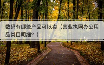 数码有哪些产品可以卖（营业执照办公用品类目明细？）
